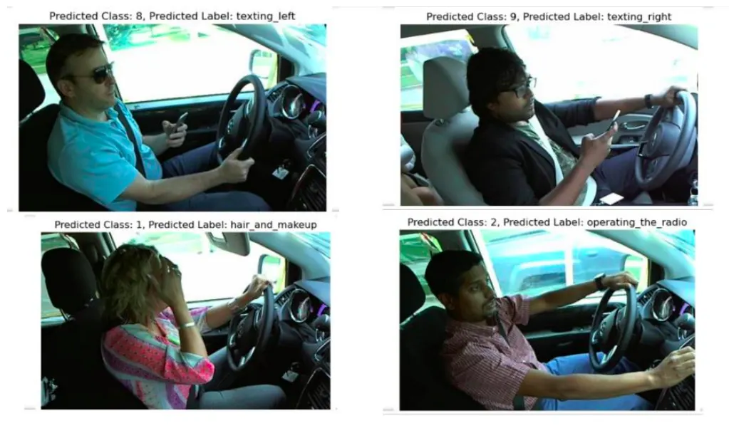 Sample images tested on the ResNet9 model showing correct classifications